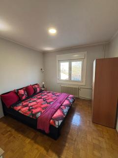 N House - Novi Sad - 9