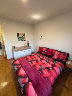 N House - Novi Sad - 6