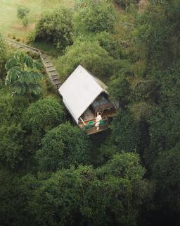Lumbre Forest Lodge - 1