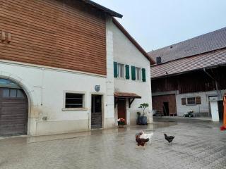 Wohnung im Bauerhof - Luins - 8
