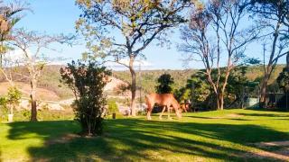 Refúgio Perfeito na Natureza para Até 20 Pessoas! - 2