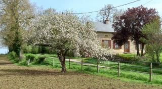 L'Ouche Grillée-Charming renovated countryside cottage-Wifi gratuit - 0