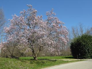 Villa Montello Pool, Jacuzzi, Ac, Wifi, Treviso - Volpago del Montello - 1
