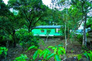 Valparai Garden House - Vālpārai - 9
