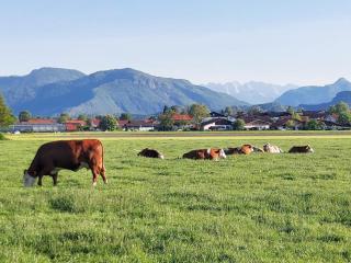 Pletschacher Franz - Maschtlhof - - Grassau - 0