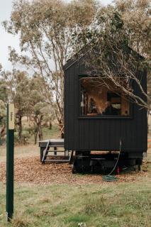 Secluded Off-Grid Cabin Lake View - Pet Friendly - Mateo - Rylstone - 9