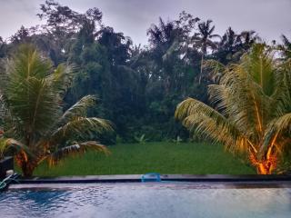 villa ghansa - Ubud - 2