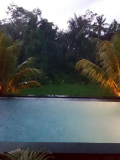 villa ghansa - Ubud - 1