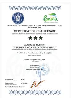 Studio Anca-old town Sibiu - Sibiu - 2