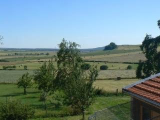 Gîte au calme avec vue sur la campagne, parking et recharge électrique - FR-1-584-370 - Mont-lʼÉtroit - 1
