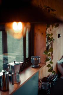 Cosy Off-Grid Cabin in Kangaroo Valley - Gustavo - Beaumont - 3