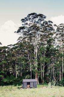 Cosy Off-Grid Cabin in Kangaroo Valley - Miguel - Beaumont - 3