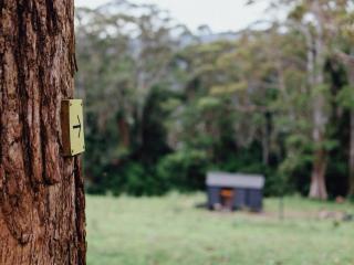 Cosy Off-Grid Cabin in Kangaroo Valley - Miguel - Beaumont - 1