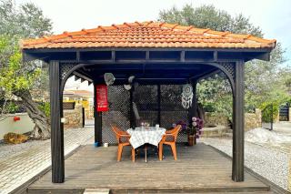 Cheerful and cozy Bungalow with pool and fireplace - Athalassa - 2