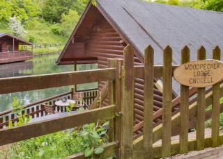 Herons Lake Retreat - Caerwys - 1