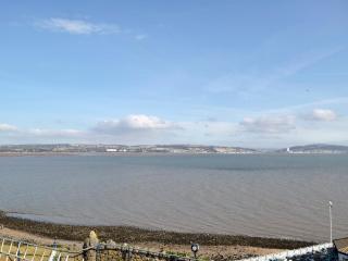 Teal - Llangennith - 1