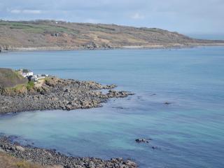 Tamarisk - Coverack - 9