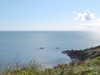 Tamarisk - Coverack - 8