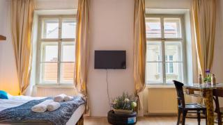 Beautiful 1BR Perfect for Long stays - Vienne - 7