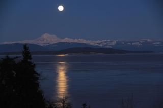 TideAway Farm on Private Island! Escape & Indulge Mother Nature! - Anacortes - 1