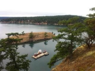 TideAway Farm on Private Island! Escape & Indulge Mother Nature! - Anacortes - 5