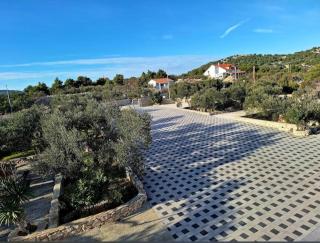 Apartments Olive trees - Jezera - 8