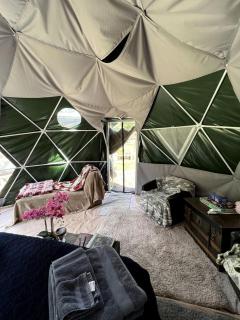 Go Glamping Among Alpacas in this Cozy Dome in Duvall, Washington - 7