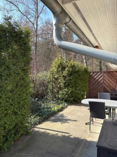 Haus Kranich -direkt am See Natur pur- - Lalendorf - 4