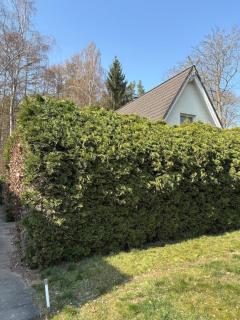 Haus Kranich -direkt am See Natur pur- - Lalendorf - 5