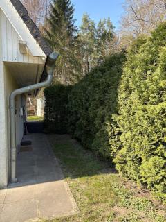Haus Kranich -direkt am See Natur pur- - Lalendorf - 9