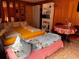 Cozy Unterkunft im Spreewald nahe Tropical Islands - Golßen - 4