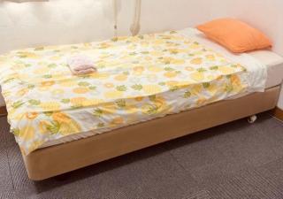 Minshuku Fugarassa - Vacation STAY 81579v - Isola di Ishigaki - 1