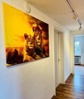 Lion Flat 2 Zimmer Wohnung in Vohburg mit Büro - Vohburg an der Donau - 7
