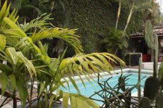 Timeless Oasis Hostel - 6