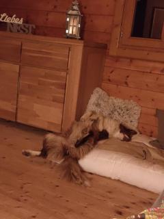 Knusperhäuschen mit Wellness-Oase - - 4
