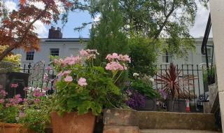Stylish Garden Apartment in Central Cheltenham - 1