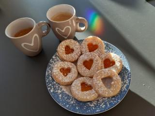 Zaunkönig - Telfs - 8