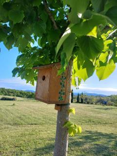 Pietre Focaie - Campagna&Relax - Montemassi - 6