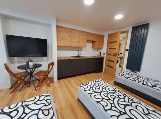 Apartamet typu studio ELEPHANT dla 4 osób - Płock - 8