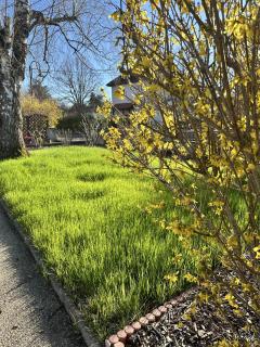 Grand appartement au cœur de la région alsacienne - Schweighouse-sur-Moder - 3