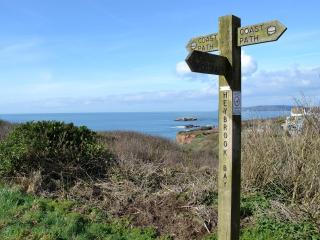 The Ravine - 27931 - Wembury - 3