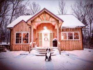 Pristine and Cozy Cabin Rental Overlooking Pond near Rochester, New York - Naples - 0