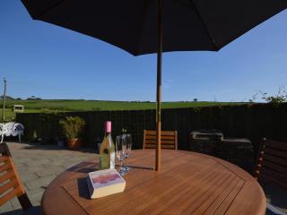 Buzzards View - Kingswear - 1