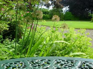 The Mews - Ellington - 2