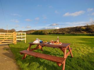 Tir Deri - Llanrian - 5