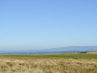 Curlew Cottage - Great Blencow - 1