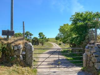 Wallhouse Barn - Blisland - 5