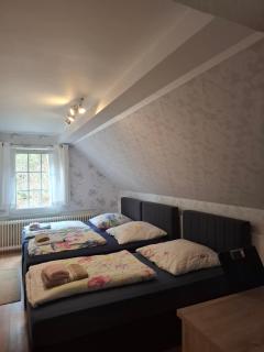 Waldblick Hotel mit großem Parkplatz - 5