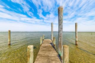 Salty Paws - Emerald Isle - 2