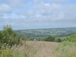 The Granary - Or3 - Henfynyw Upper - 1